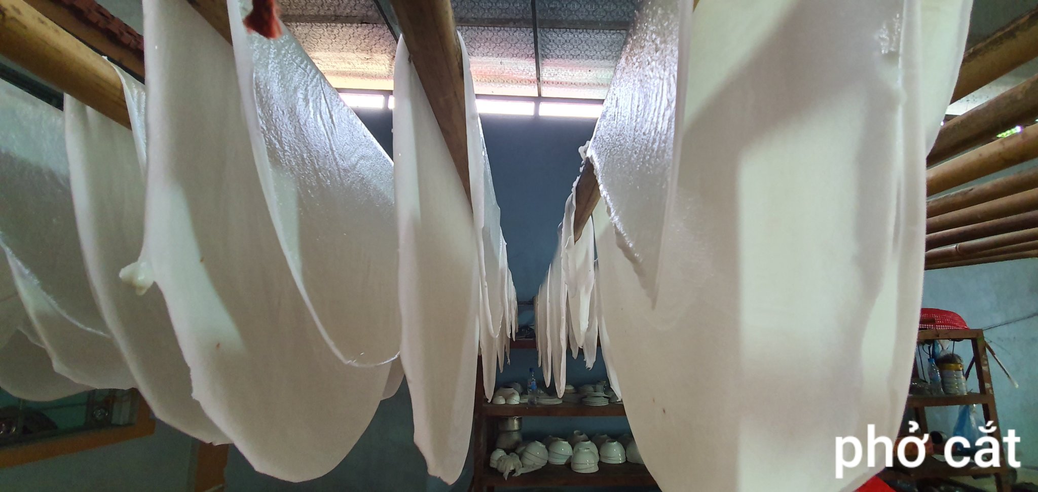 20191013_102406.jpg