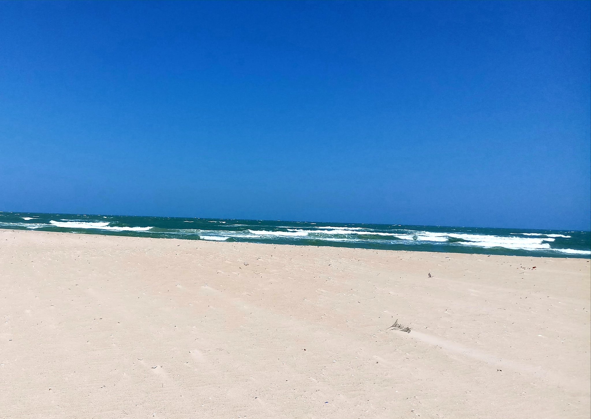 20191020_170848.jpg