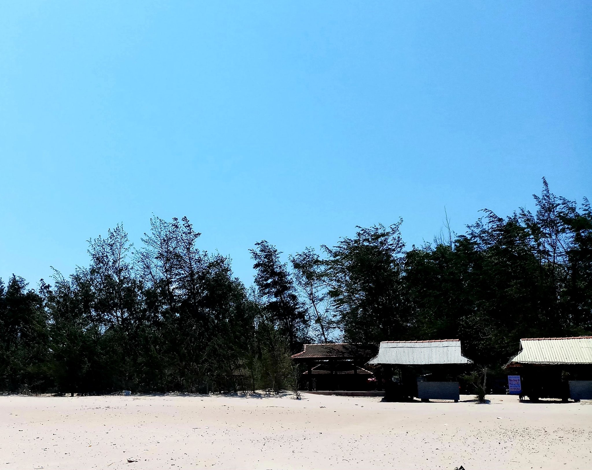 20191020_170859.jpg
