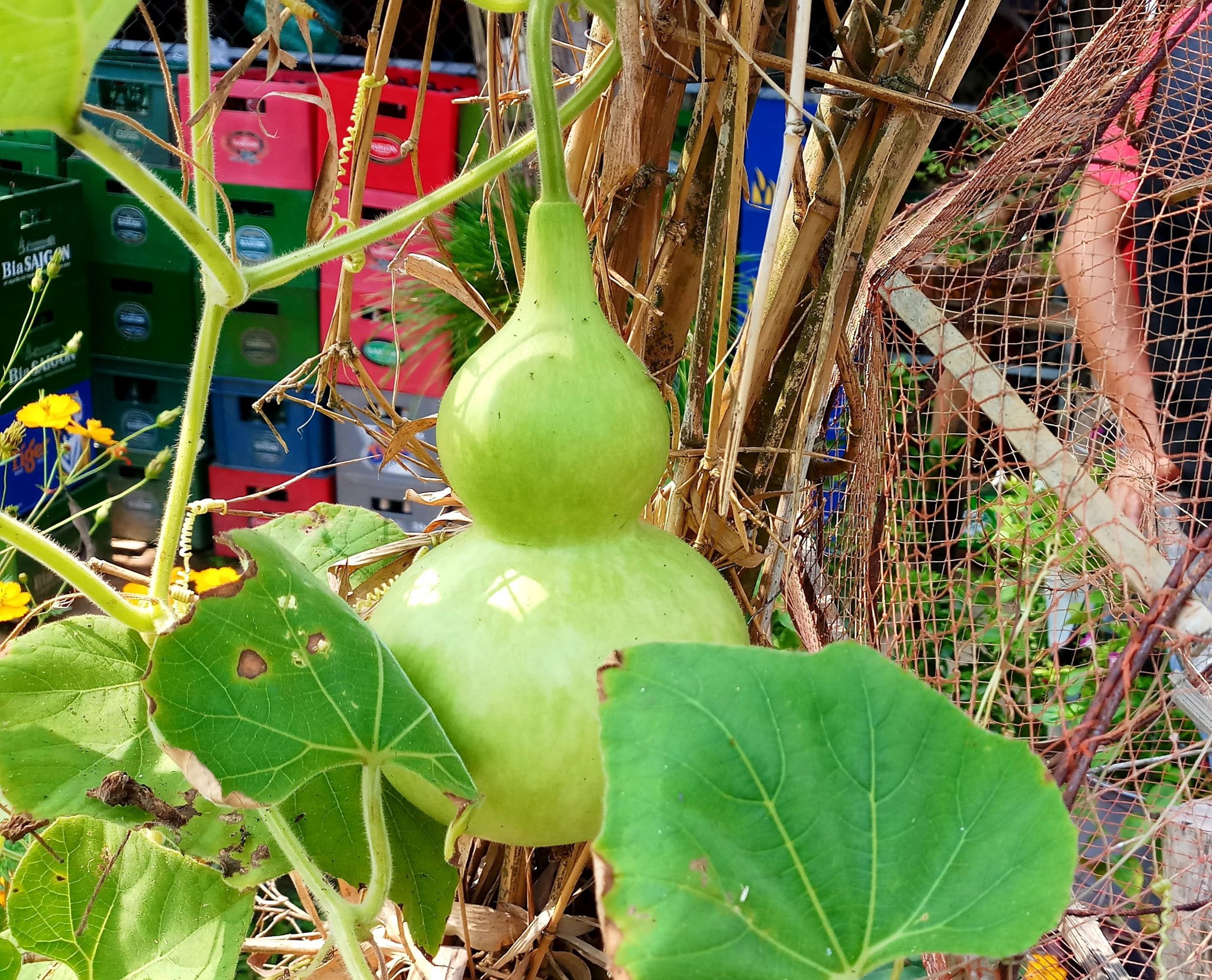 20191021_214357.jpg