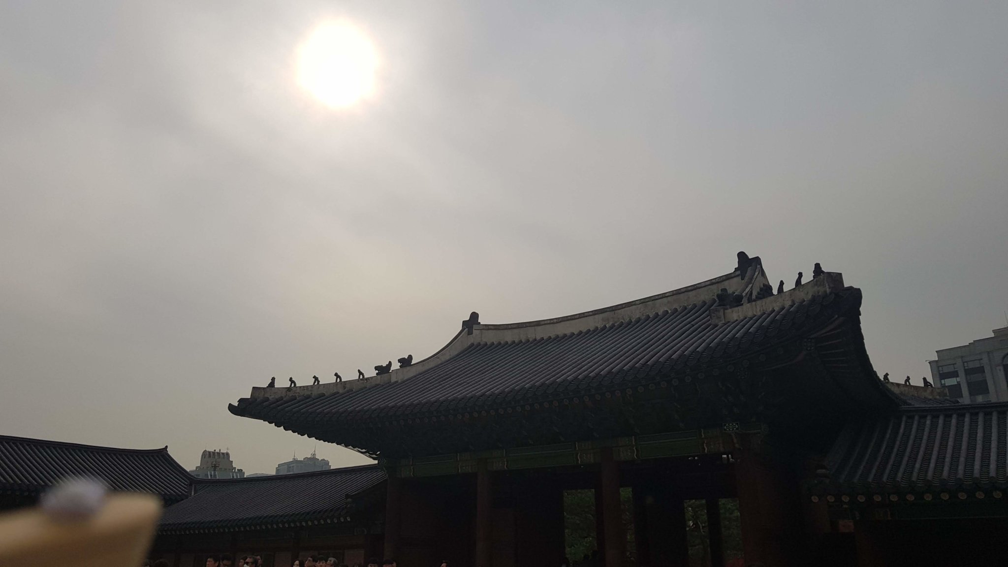 20191102_134150.jpg