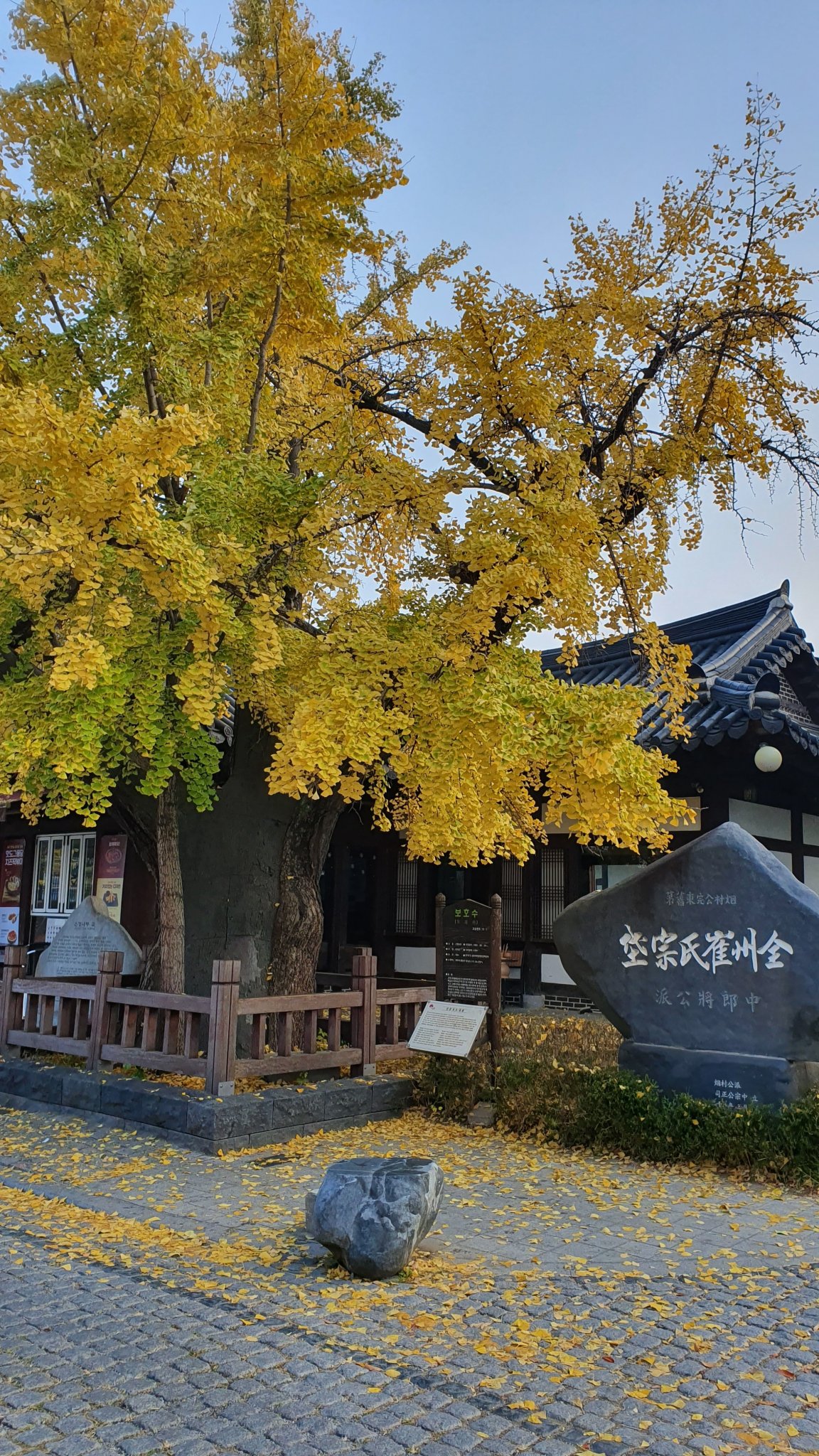 20191105_075322.jpg