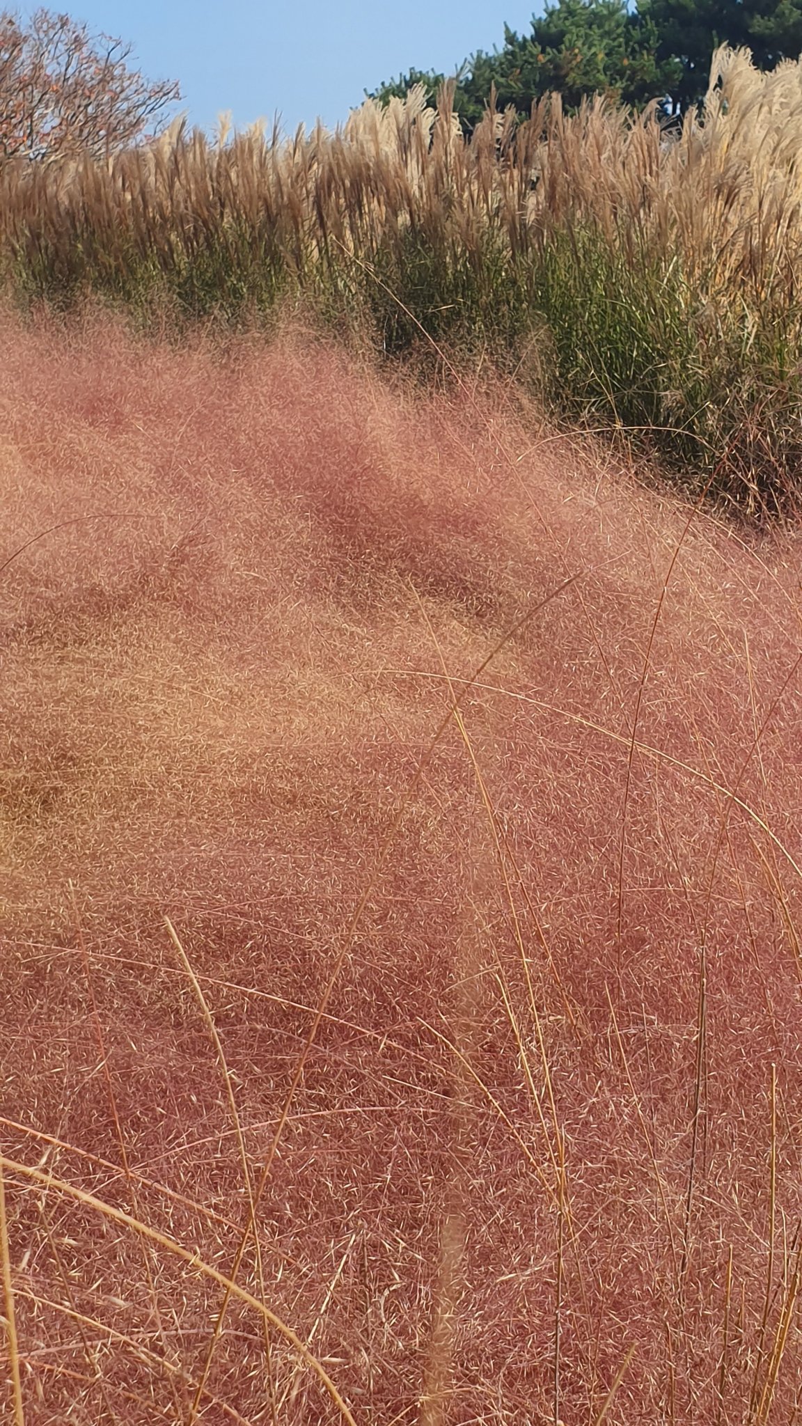 20191105_114744.jpg