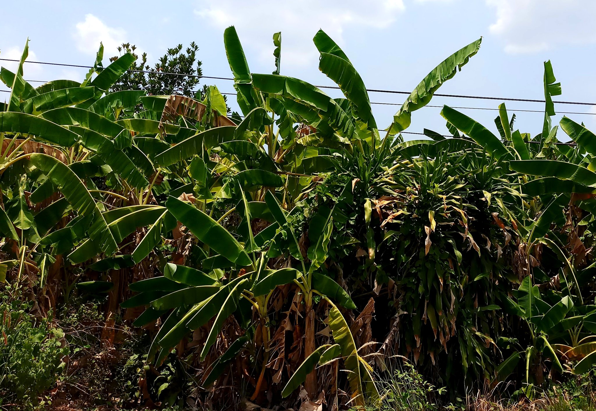20191106_061648.jpg