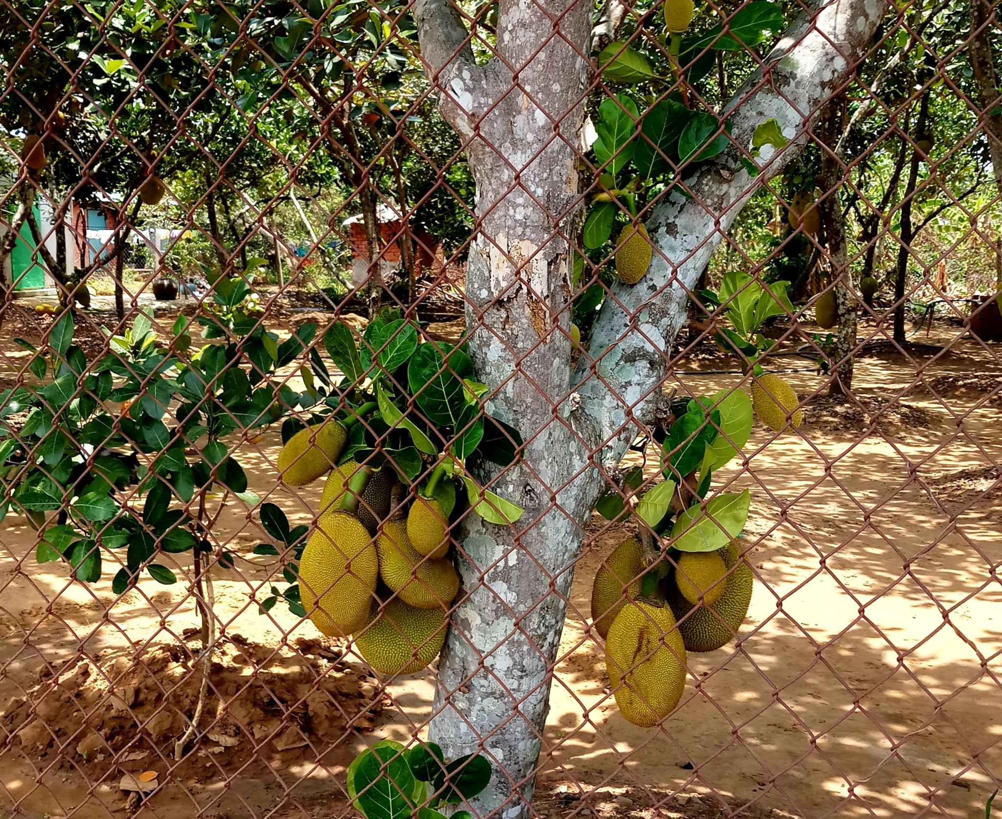 20191106_113200.jpg