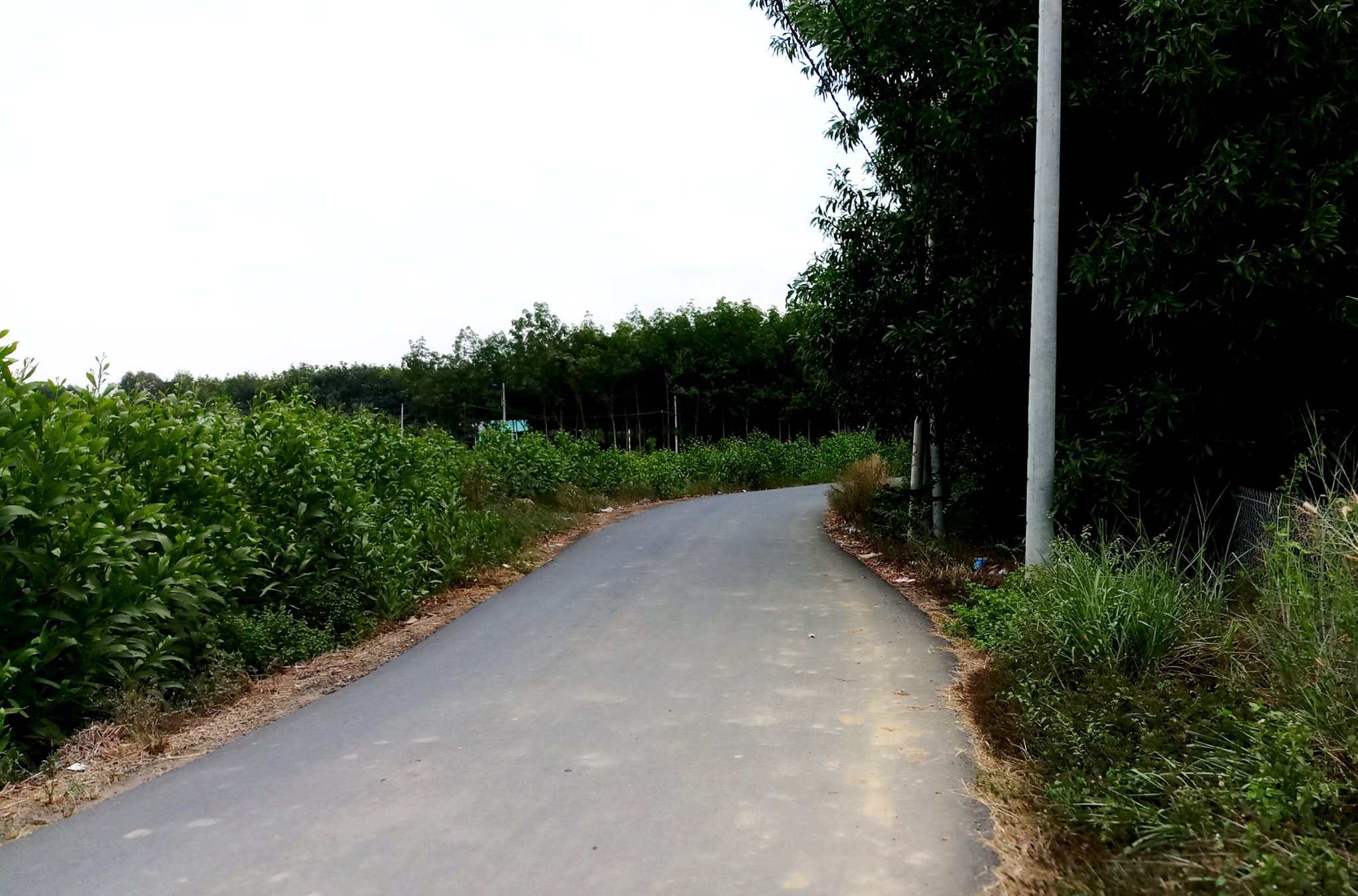 20191107_070352.jpg