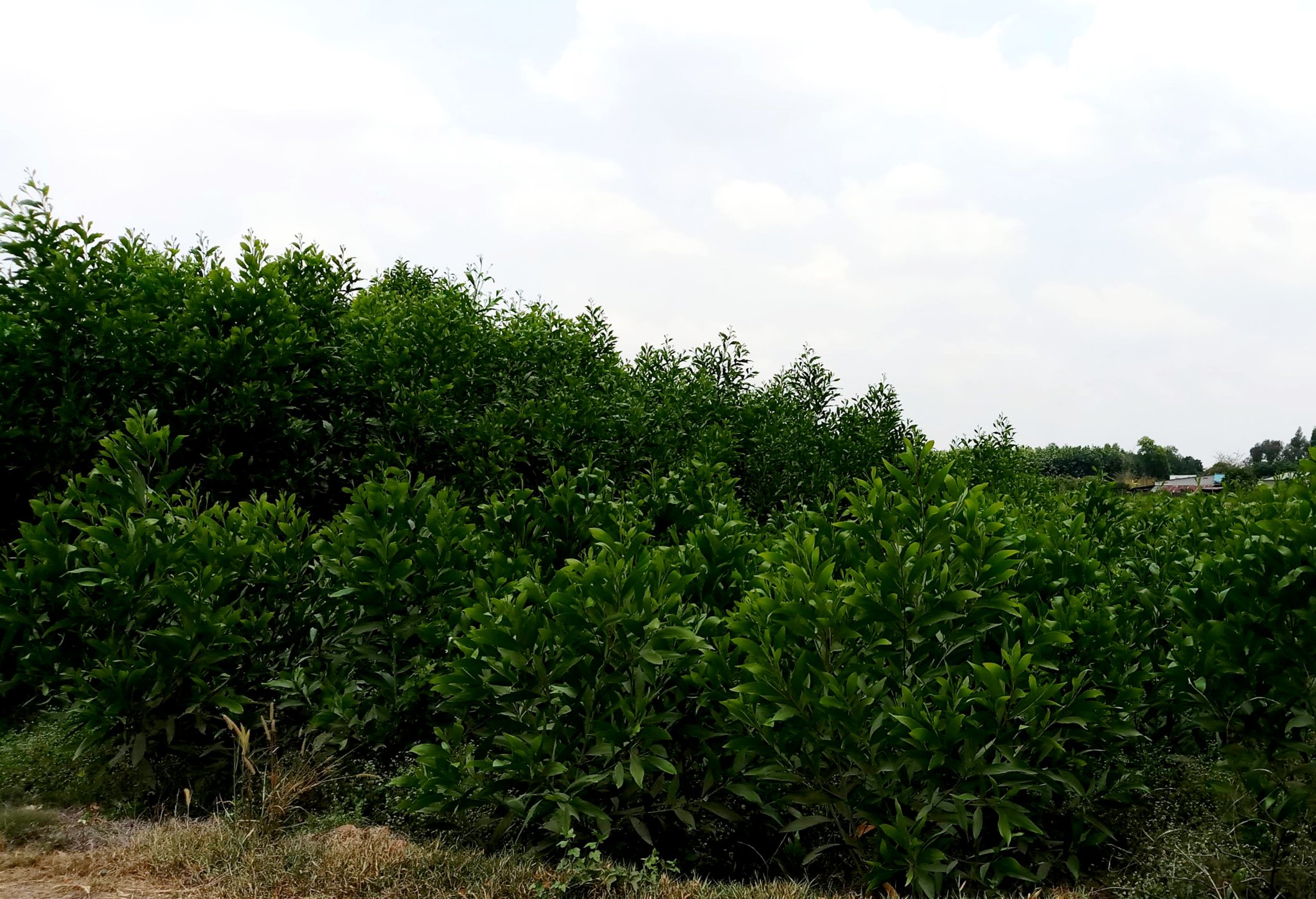 20191107_070404.jpg