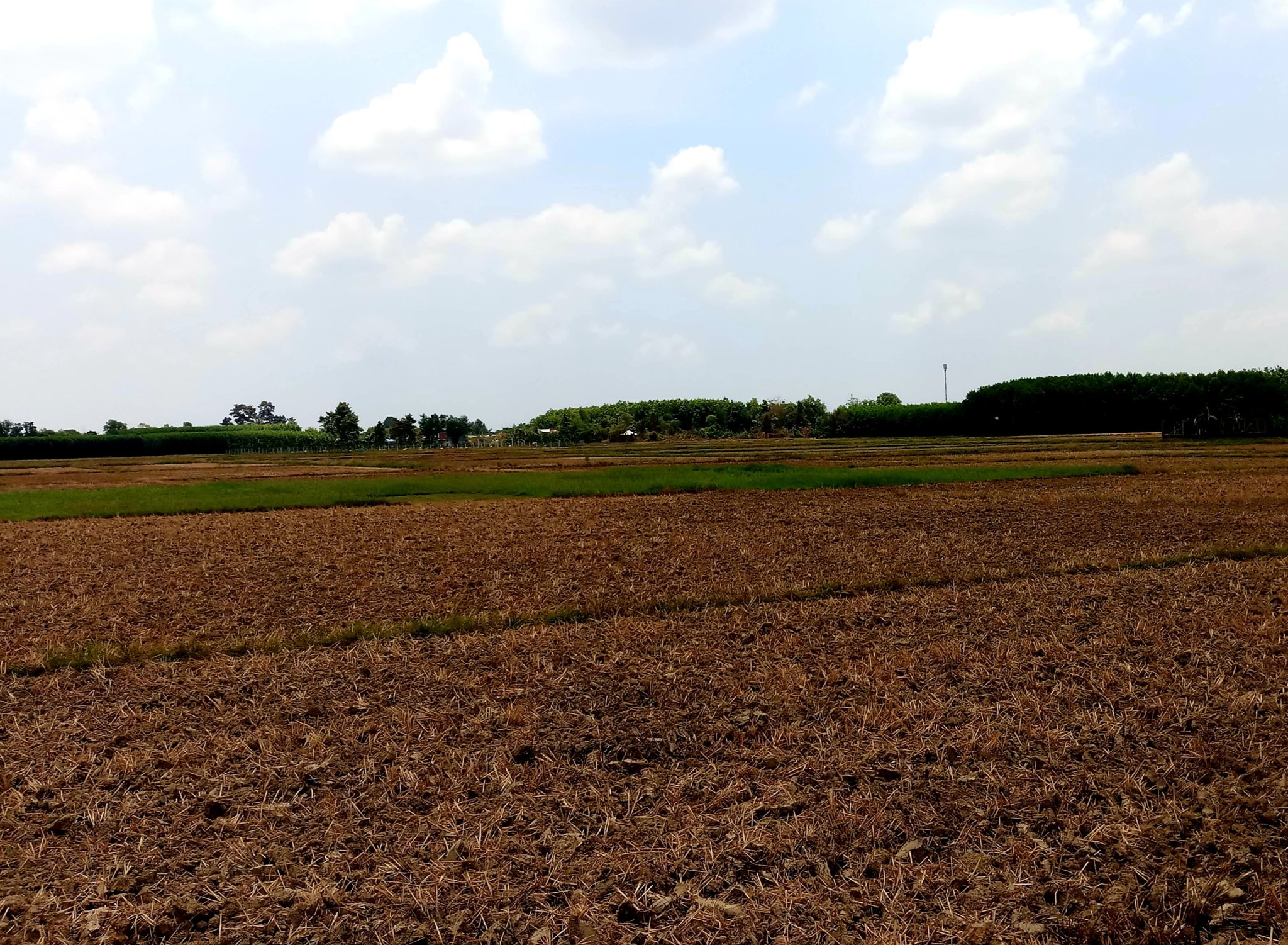 20191107_070549.jpg