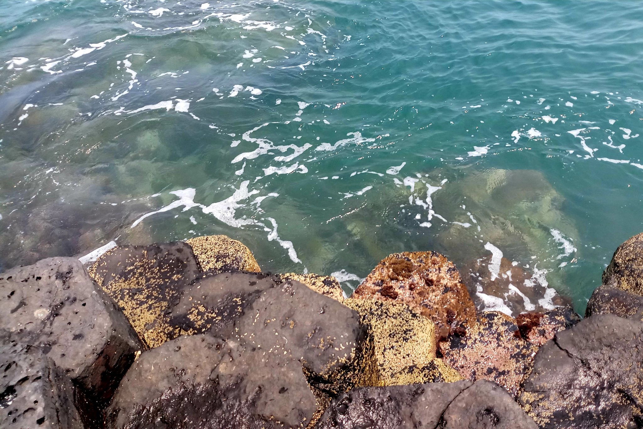 20191109_232044.jpg
