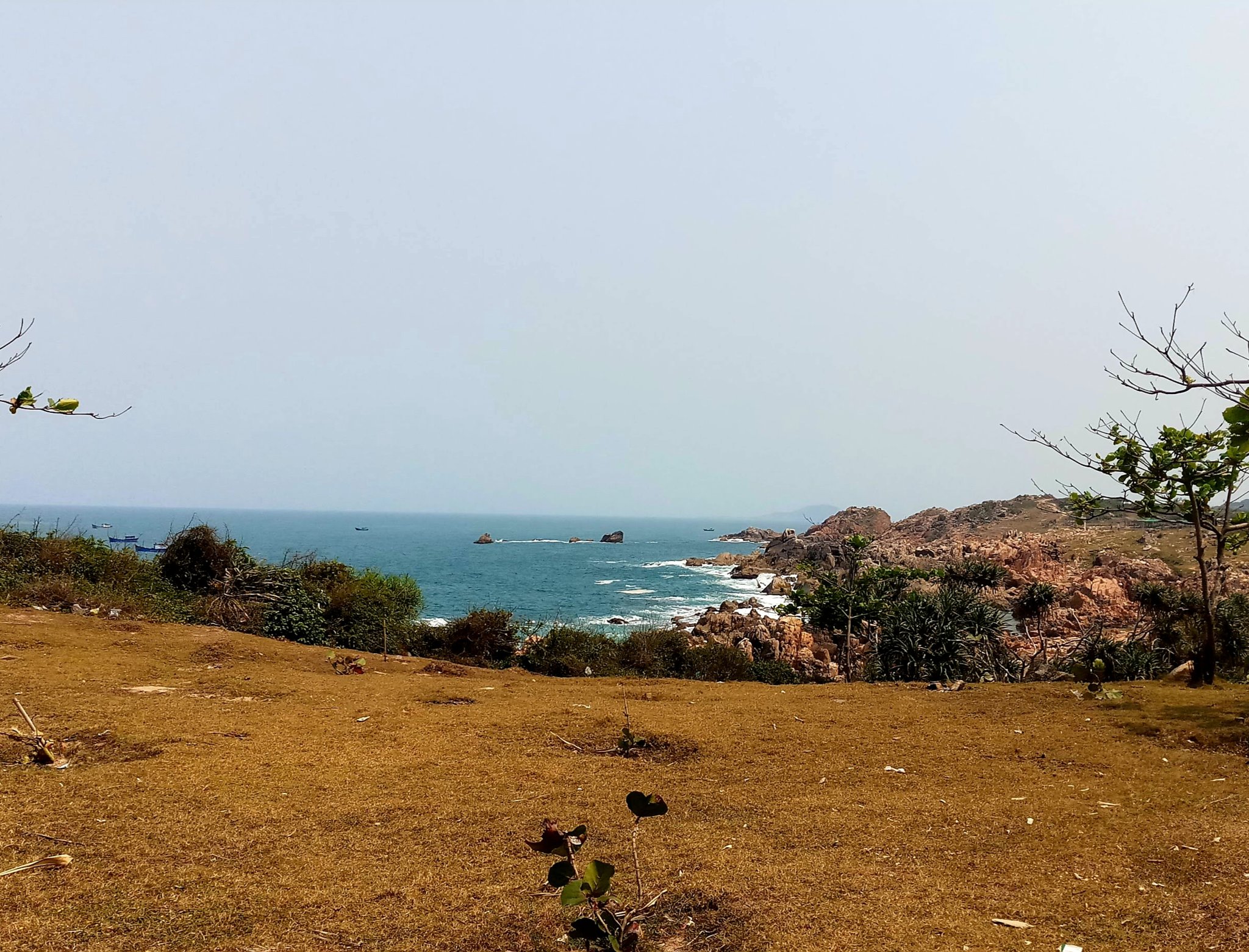 20191110_003404.jpg