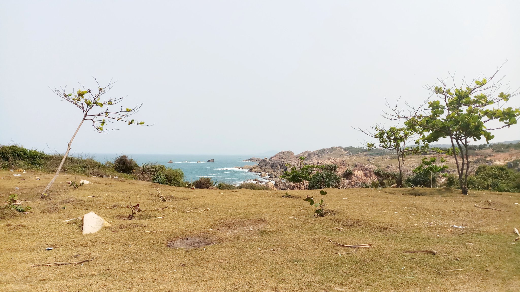 20191111_160120.jpg