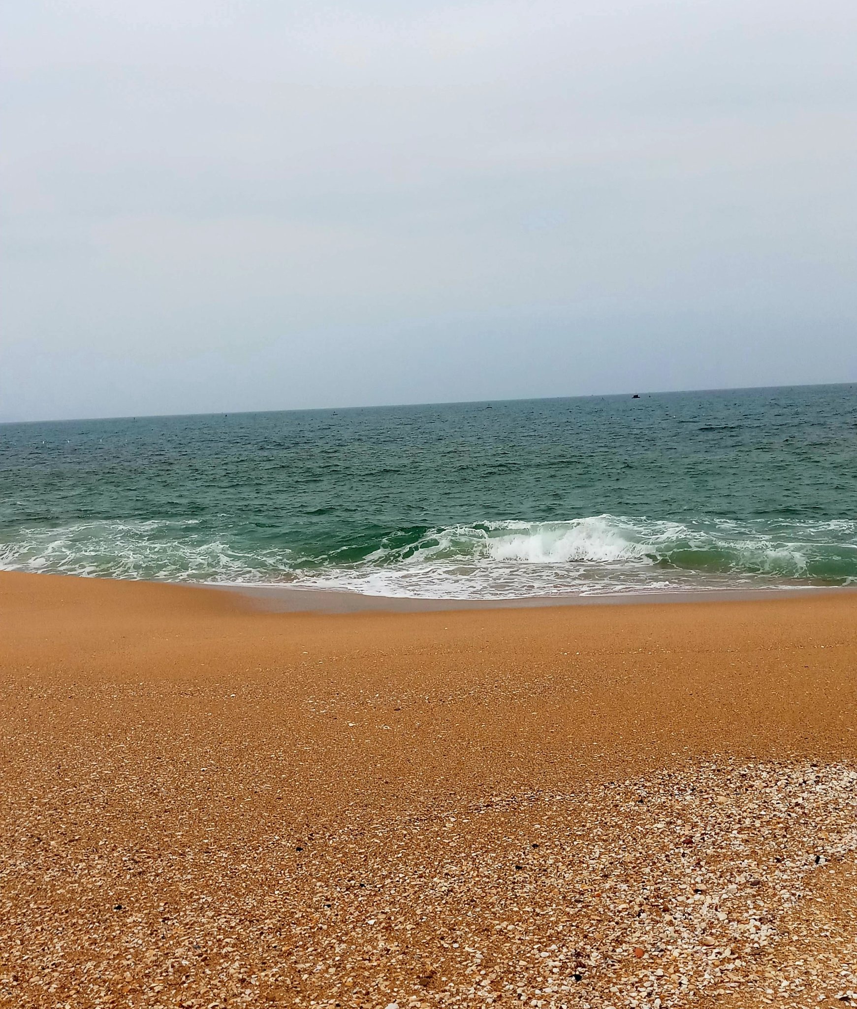 20191118_231201.jpg