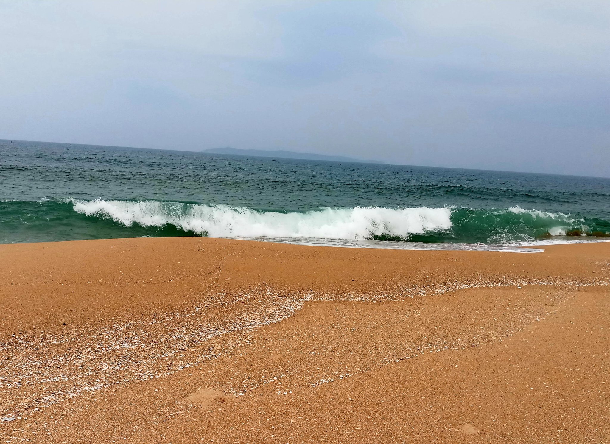 20191118_231401.jpg