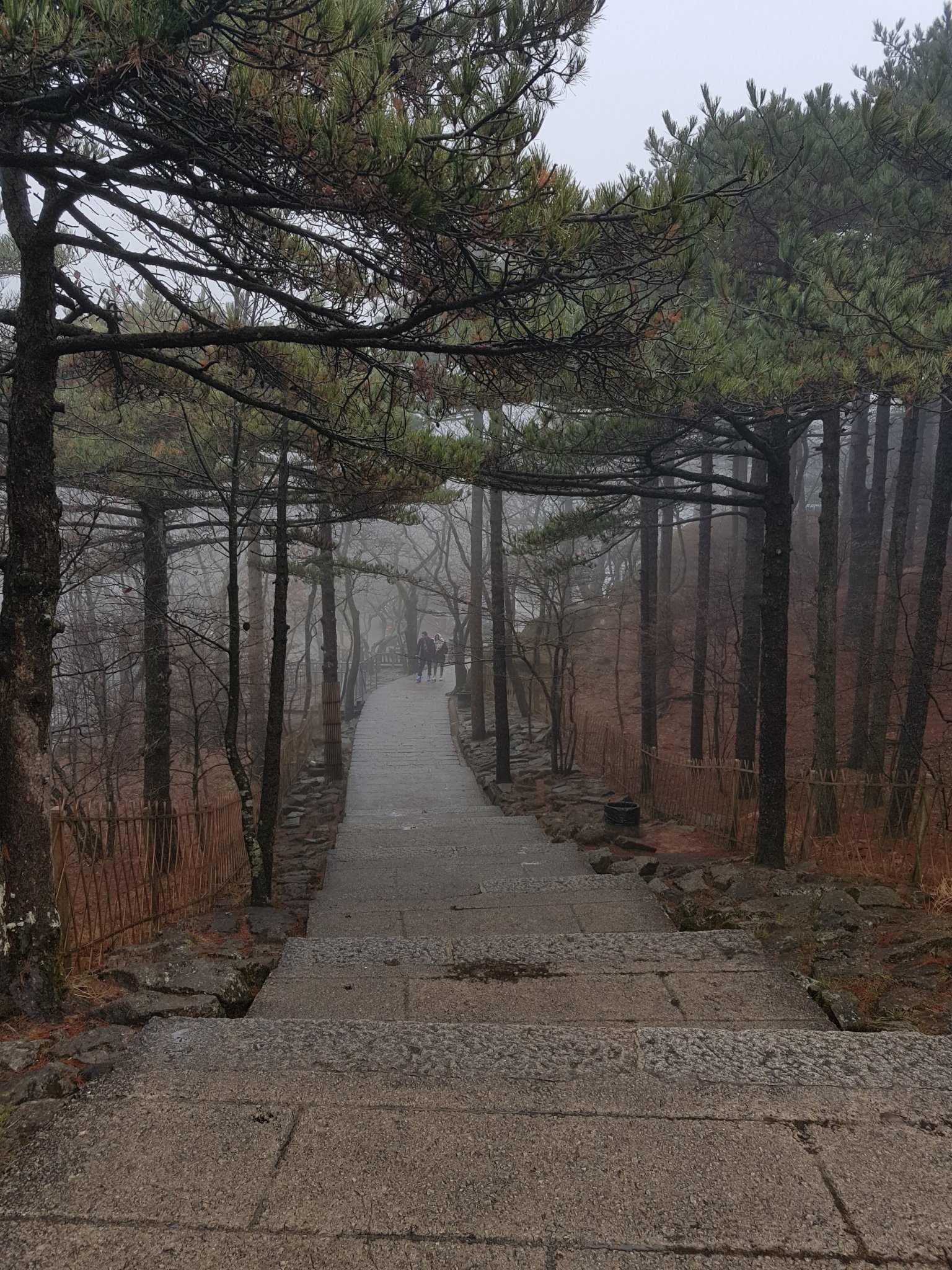 20191224_112632.jpg