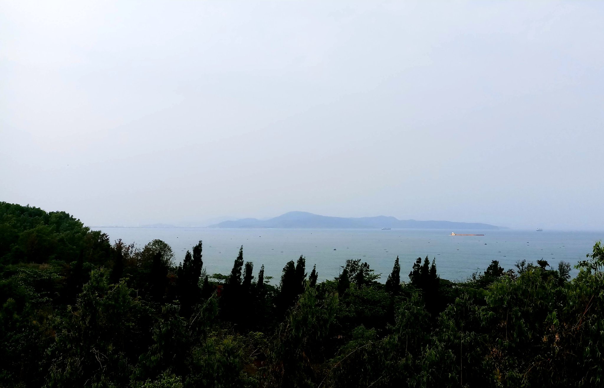 20200108_120139.jpg
