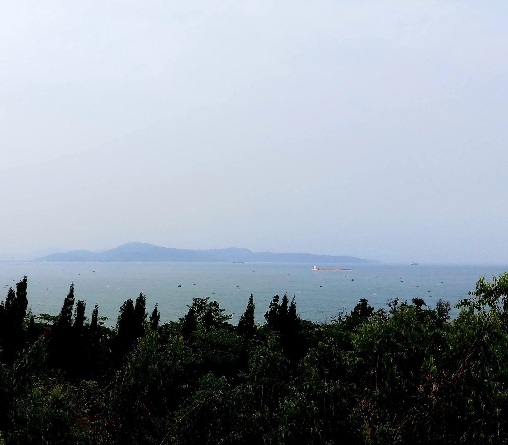 20200108_120241.jpg