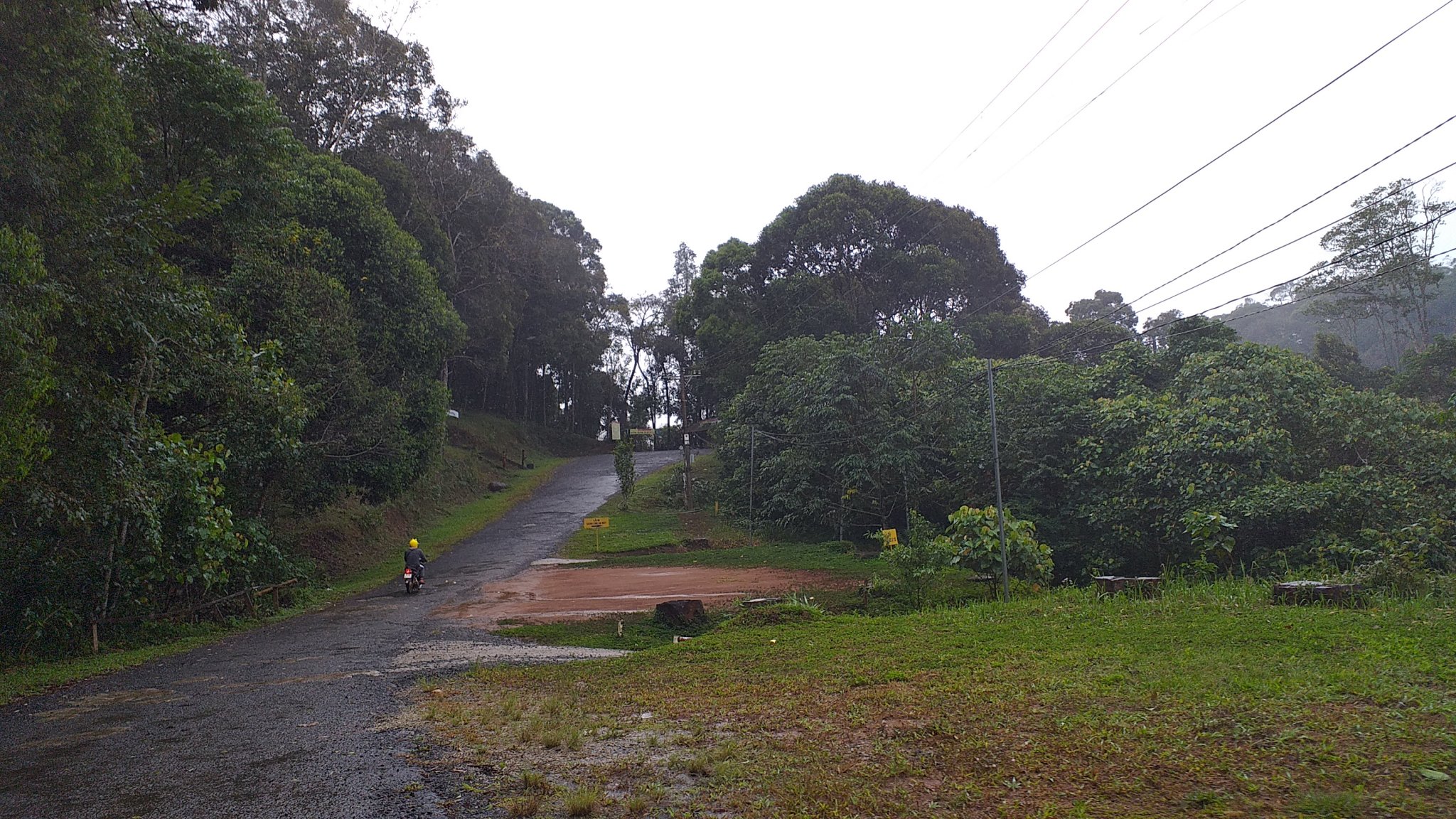 20201217_085500.jpg