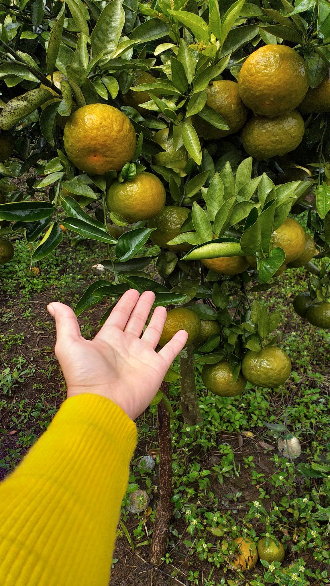 20201217_101013.jpg