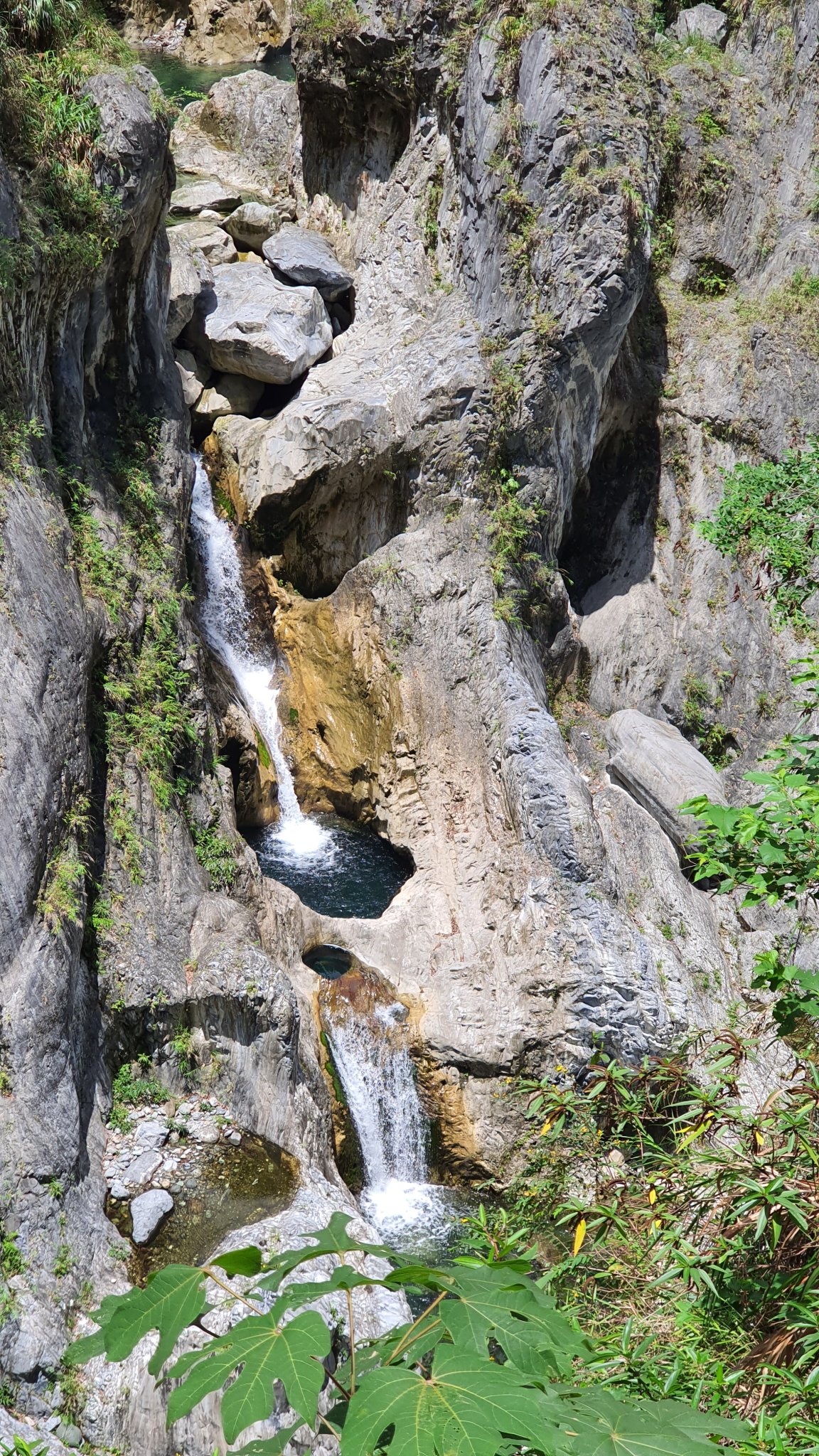Fish Leaping over the Dragon's