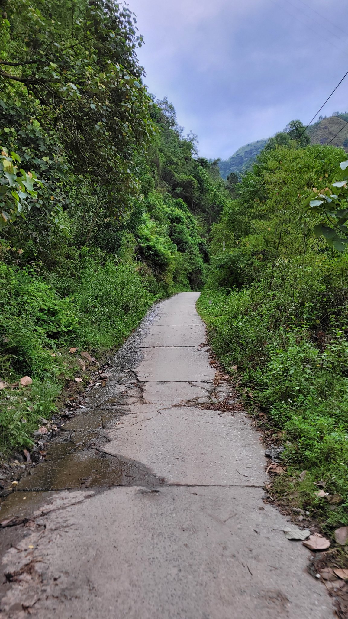 20230610_063330.jpg