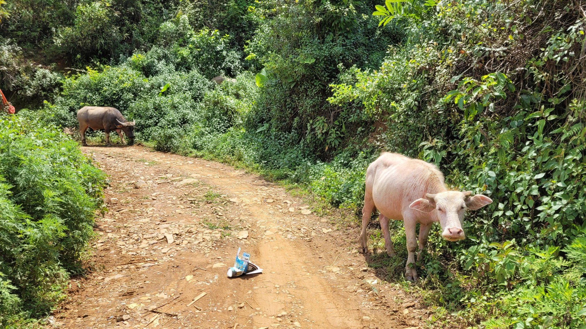 20230610_104544.jpg