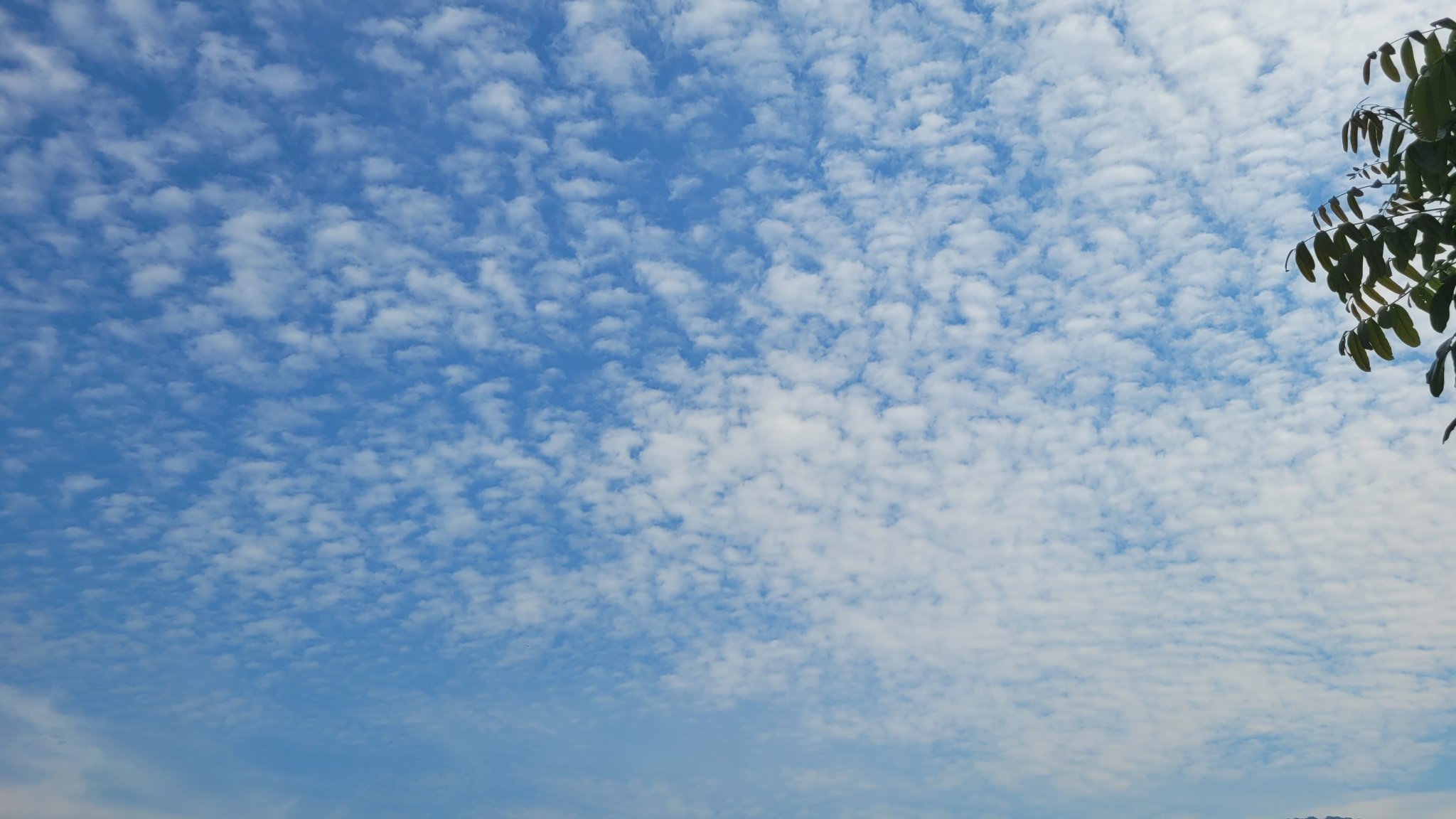20230610_150552.jpg