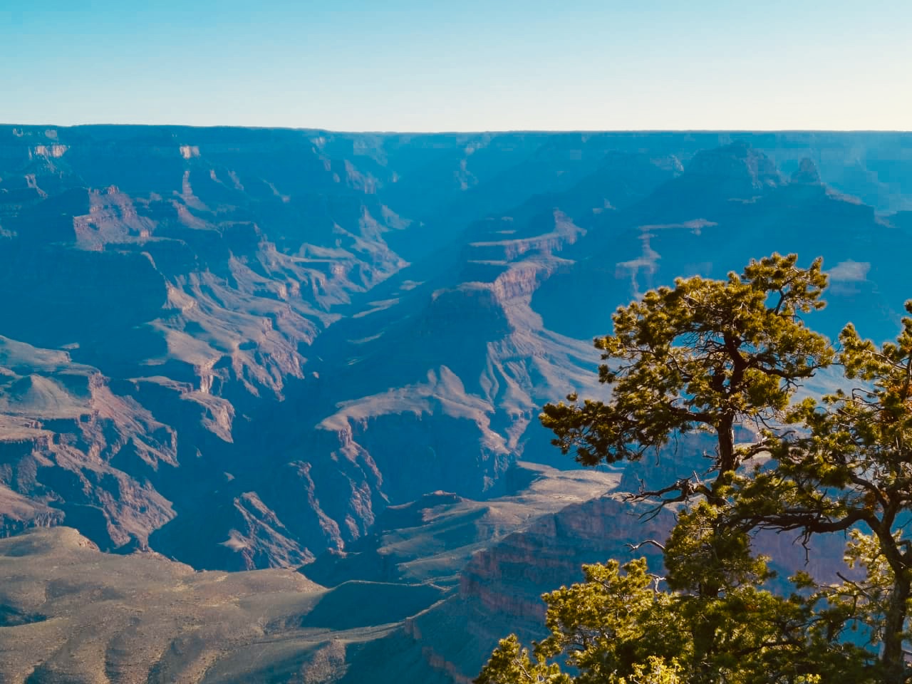 2187E082-F5F2-40E9-BAB5-A2466A7A60A5.jpeg