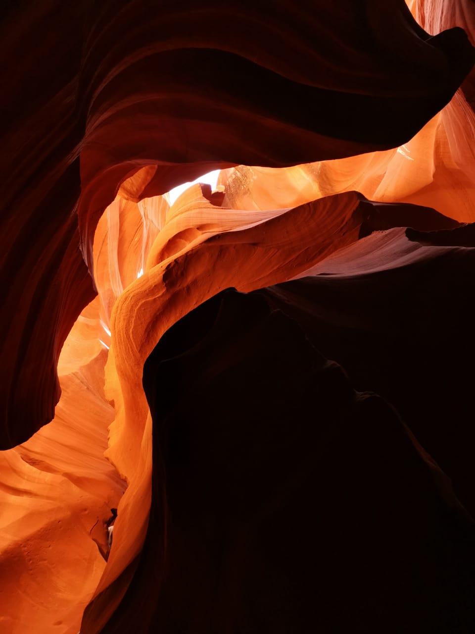 2286EA52-29B8-47EB-90F7-D2552C586B7E.jpeg