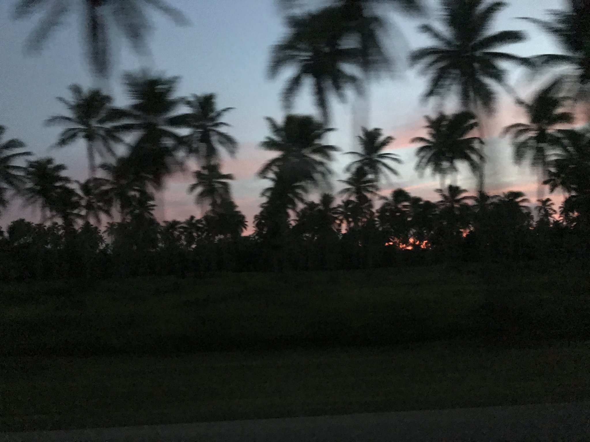 2C0F2BD9-CFCD-46C0-8402-A836273AE52C.jpeg