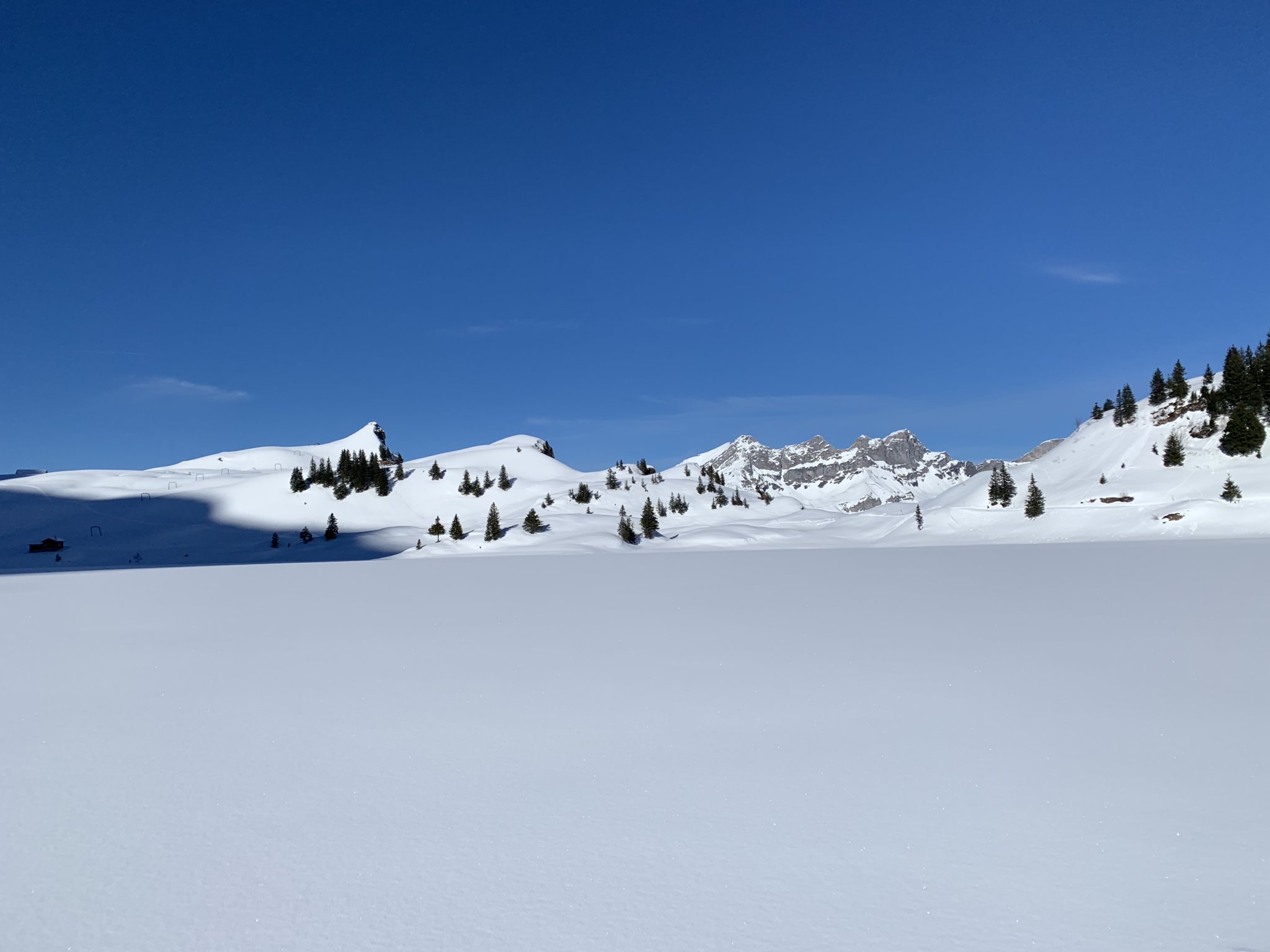 30A3685D-8AC8-4A41-8C69-F3C8B863821C.jpeg