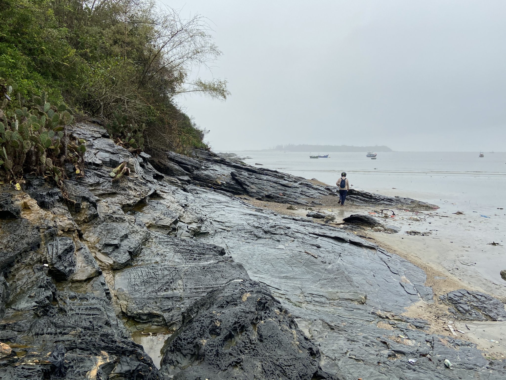 3EEB382A-A076-40AB-B755-CEC1B71B1C5E.jpeg