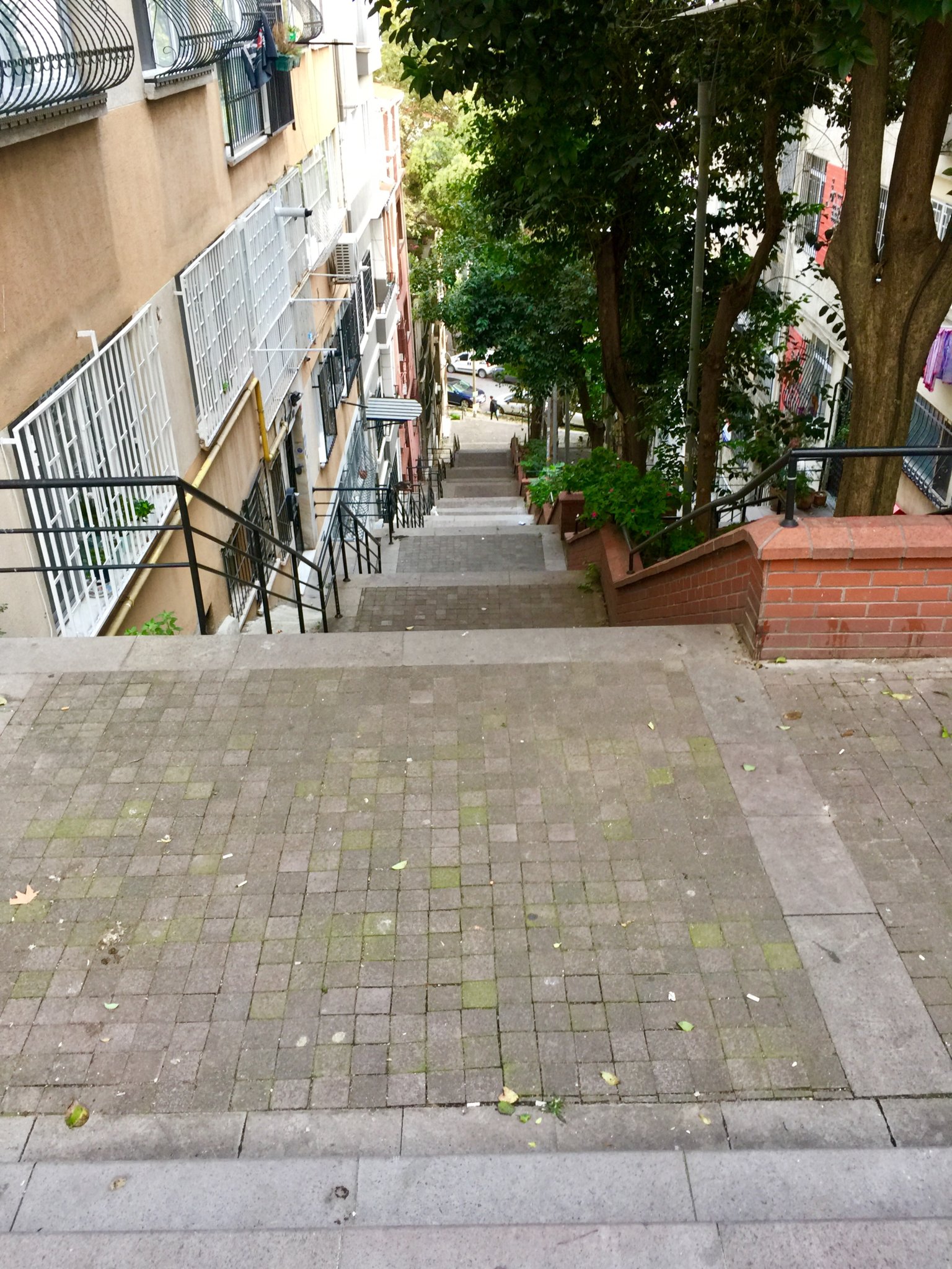 50DEEE55-744D-4DF7-B36C-6F8565553189.jpeg
