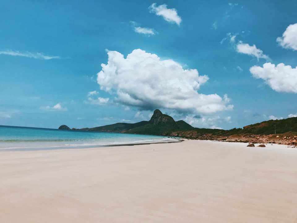 159081