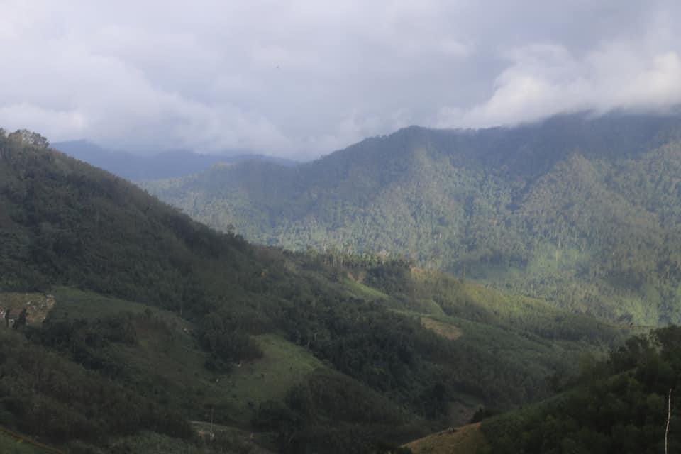 58A50D67-517B-4677-8D90-0B8EC2EBBD6B.jpeg