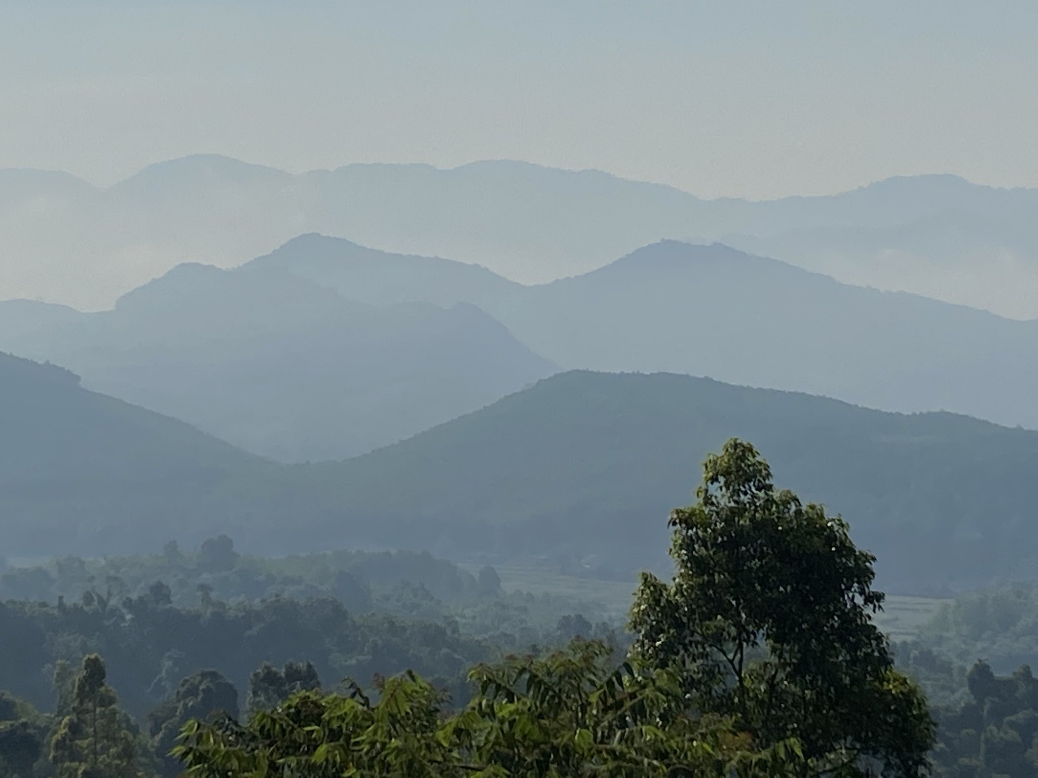 590E05D0-4526-436D-8F7E-410D9EF5E501.jpeg