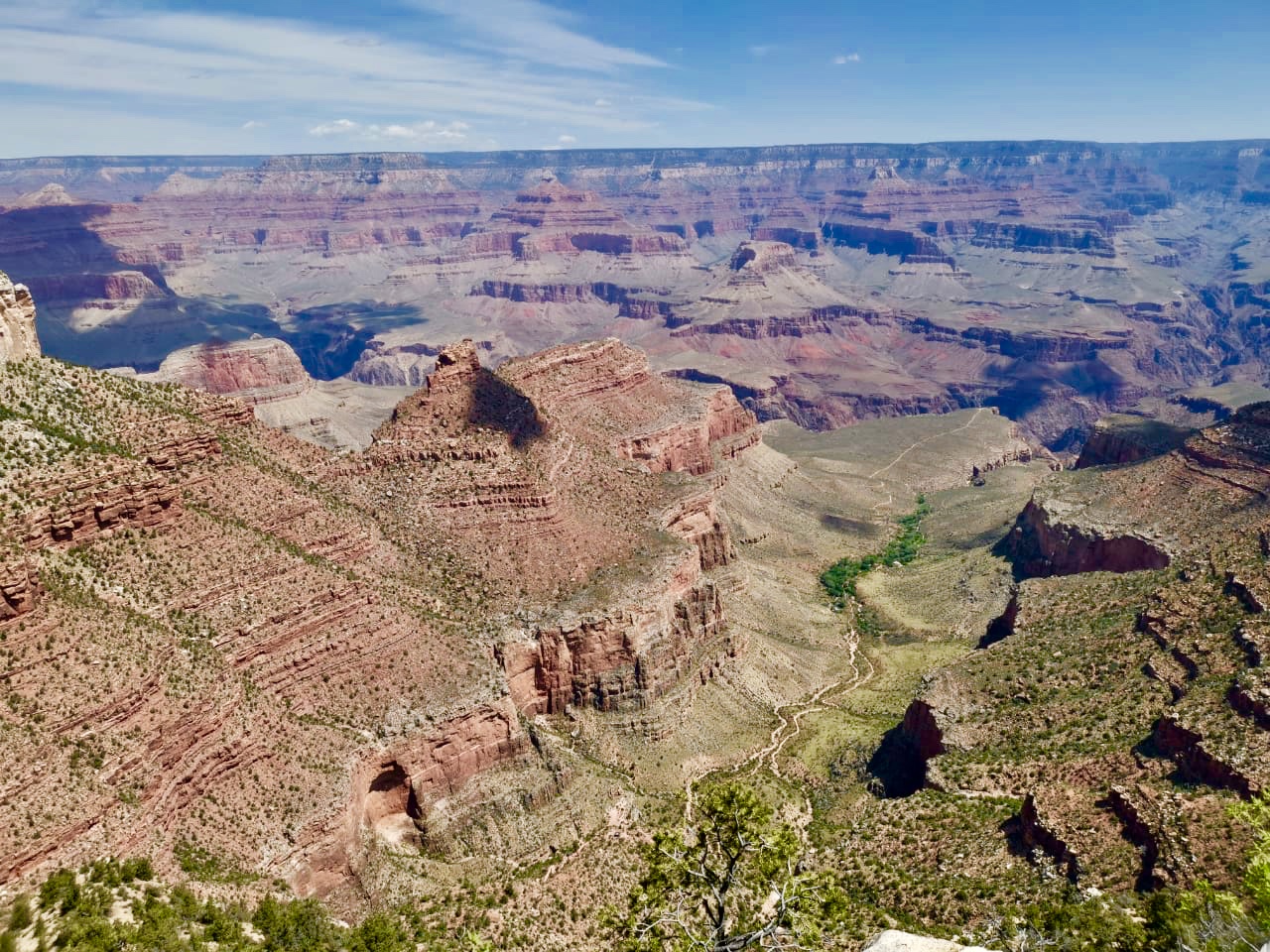 62F4EA29-C215-4A0B-81A9-97A9F3B99764.jpeg