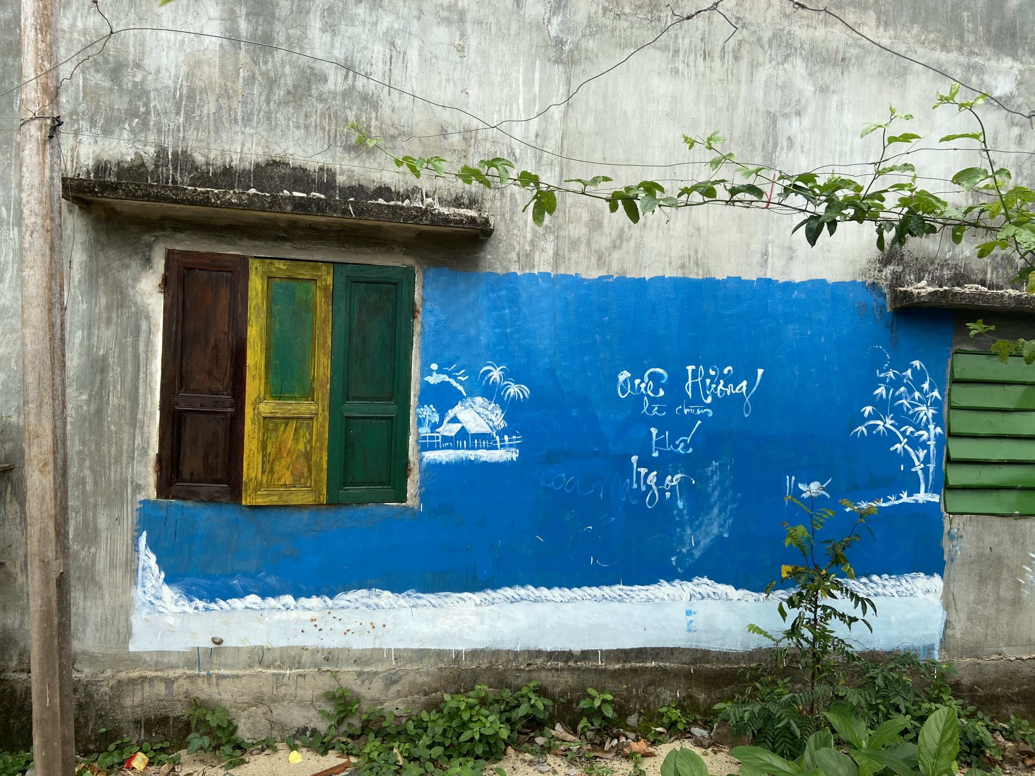 6300541C-EAE4-4F47-BF7F-C5C9C5105552.jpeg