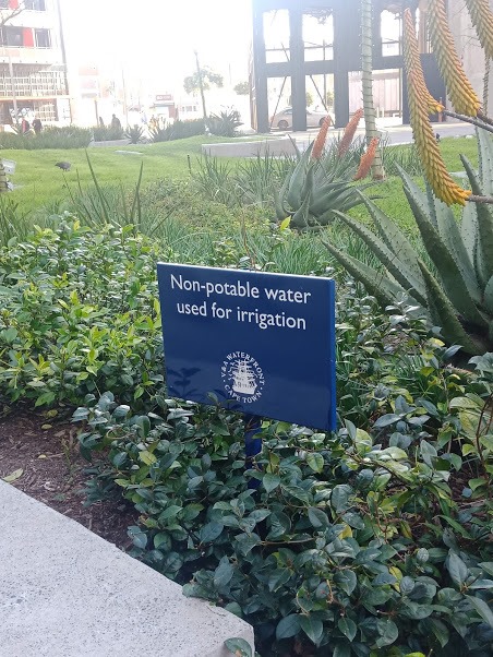 67591369_10219280849921521_6027057319337000960_n.jpg