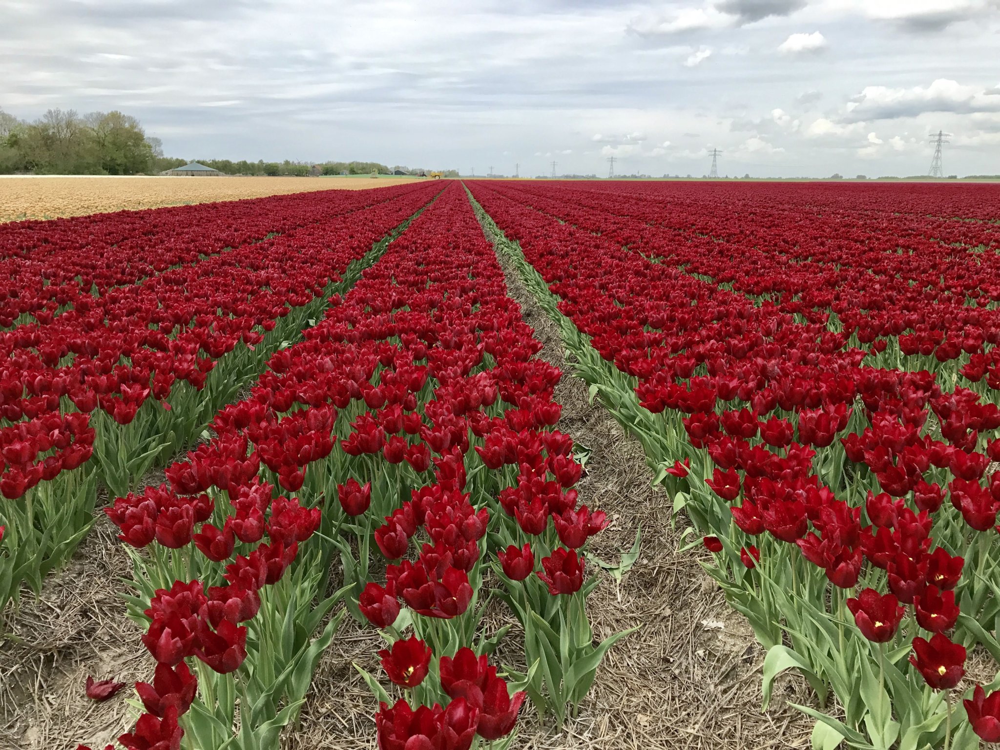 70AAB09B-17BD-4412-B058-12220D2345F1.jpeg