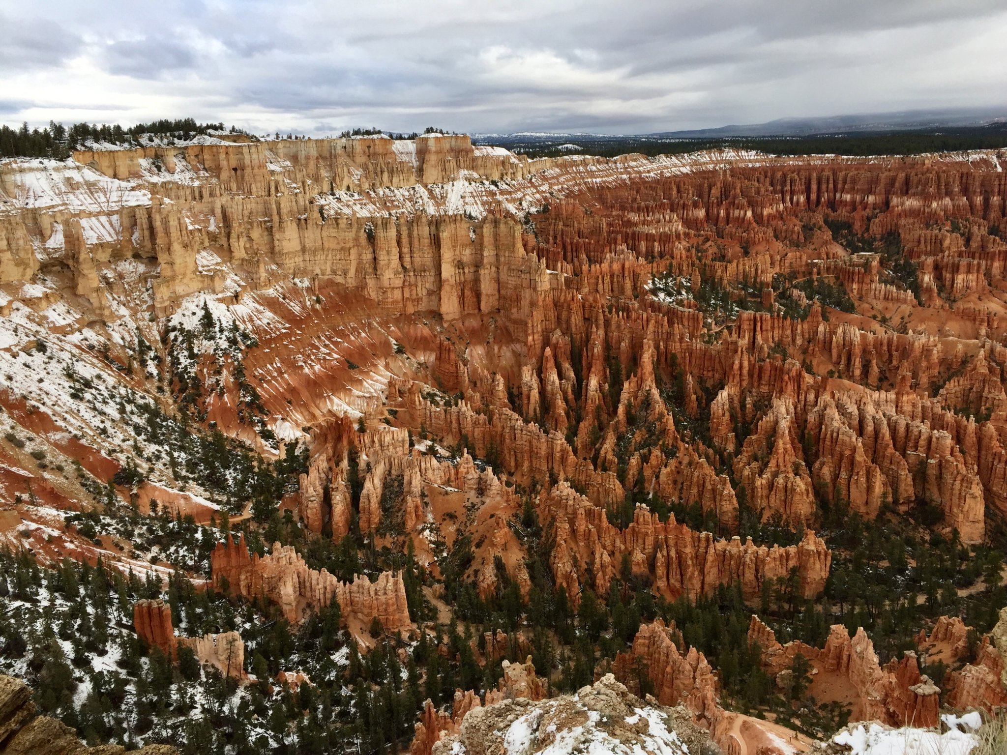 7C0B3252-F984-4067-B8FF-5B73E902D7C6.jpeg