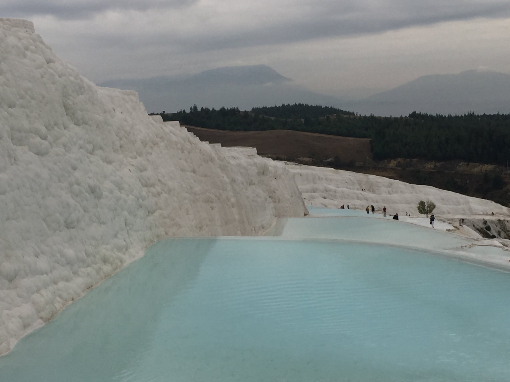 9125C08C-3853-47C1-804C-387D80CB9725.jpeg