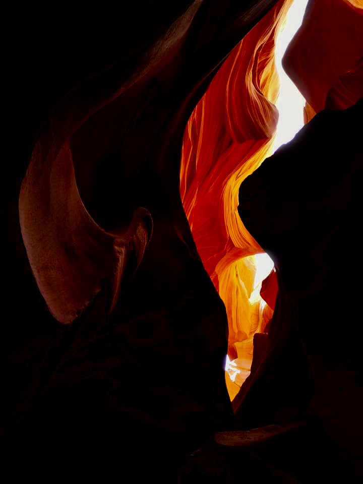 91708206-5F20-4023-ACA3-2C41F90C2194.jpeg