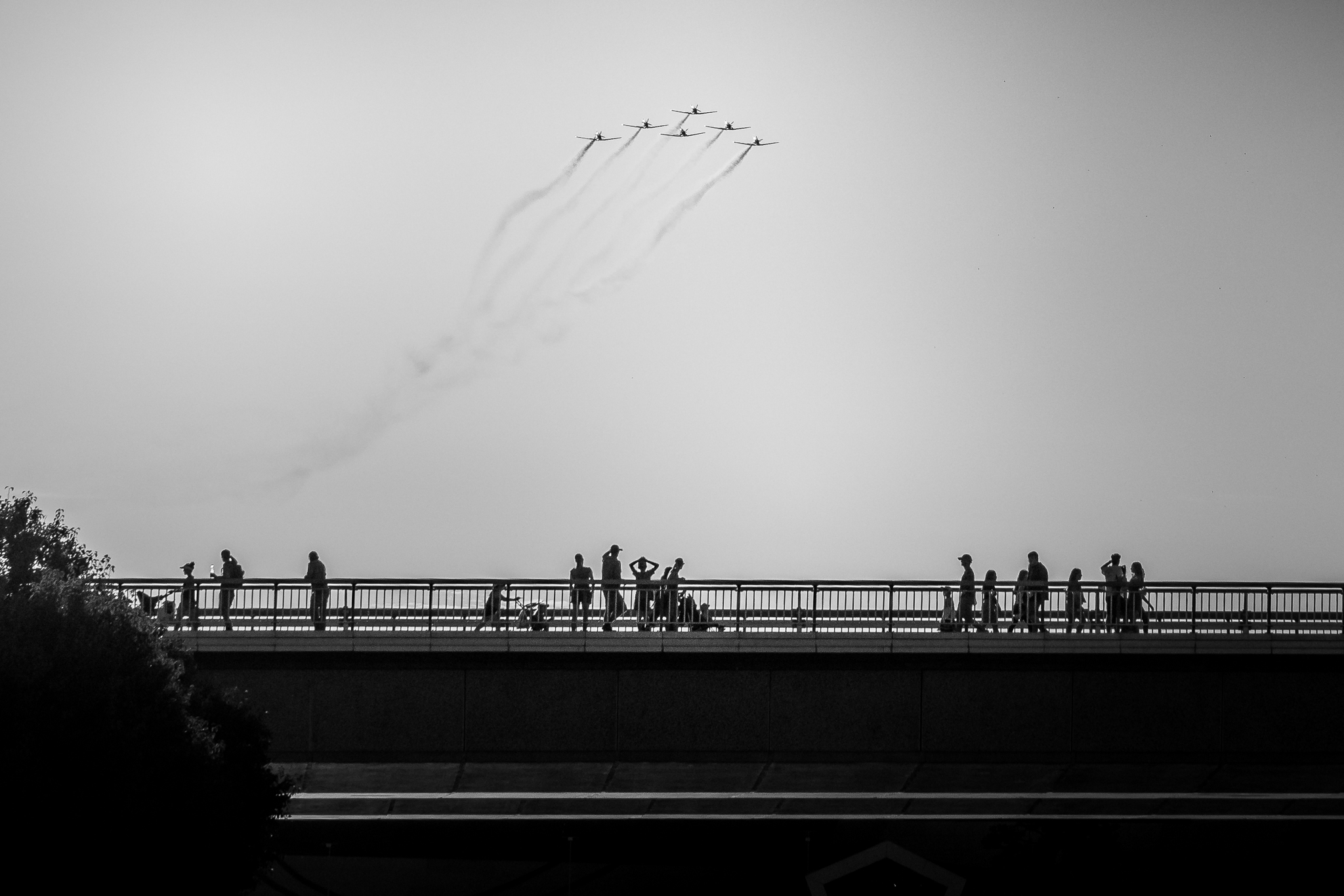 _A732154-20180317.jpg