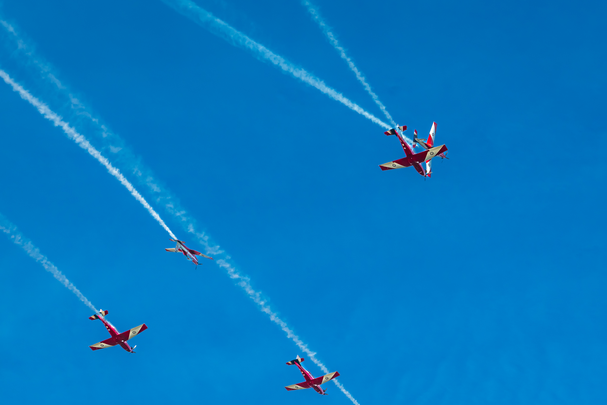 _A732164-20180317.jpg