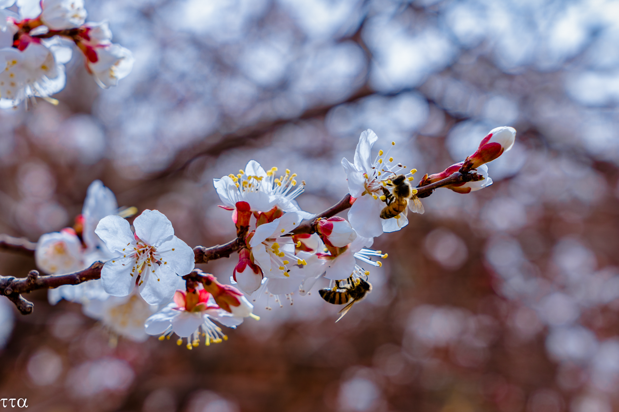 _DSC0430.png
