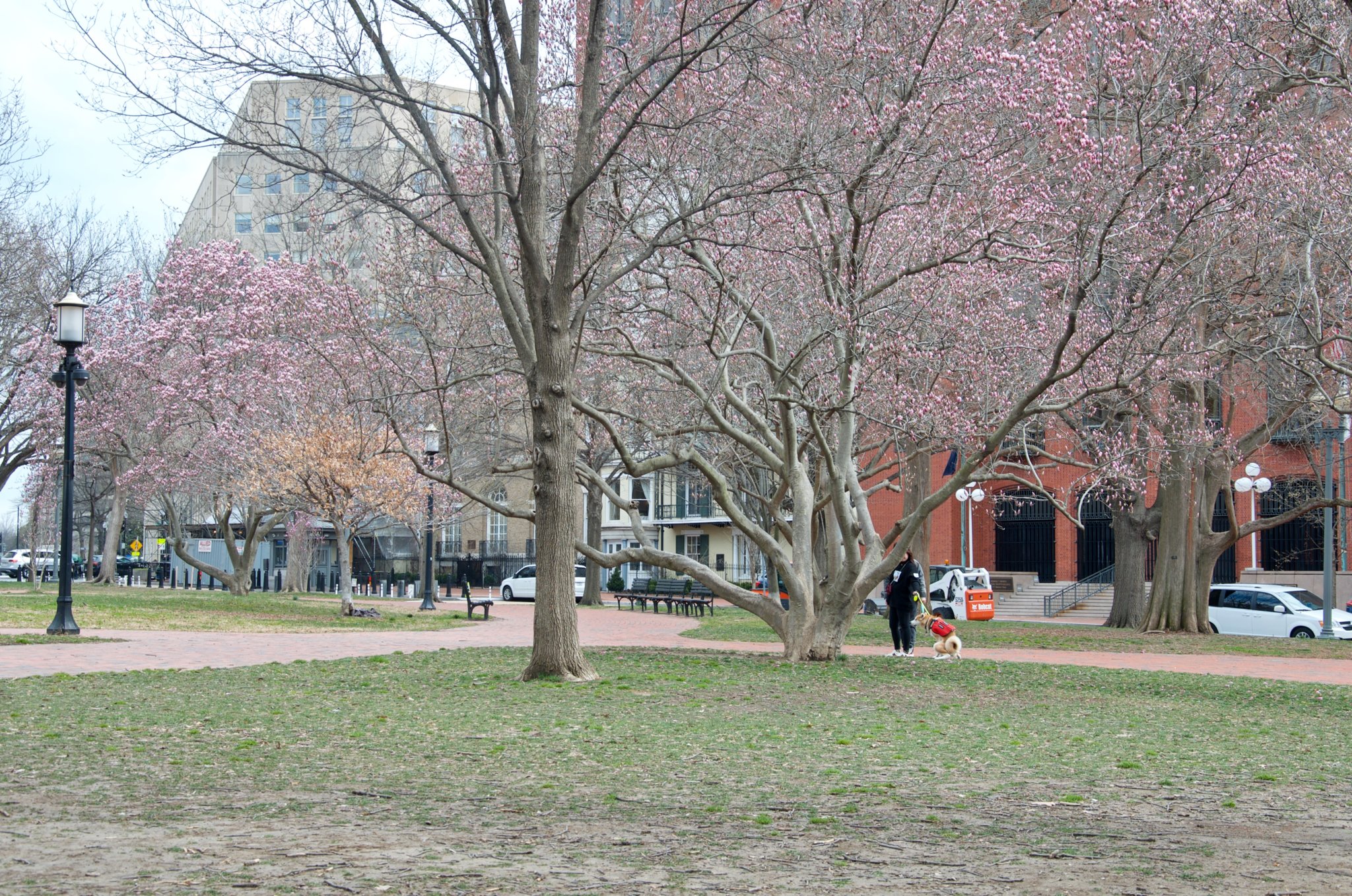 _DSC4503.jpg