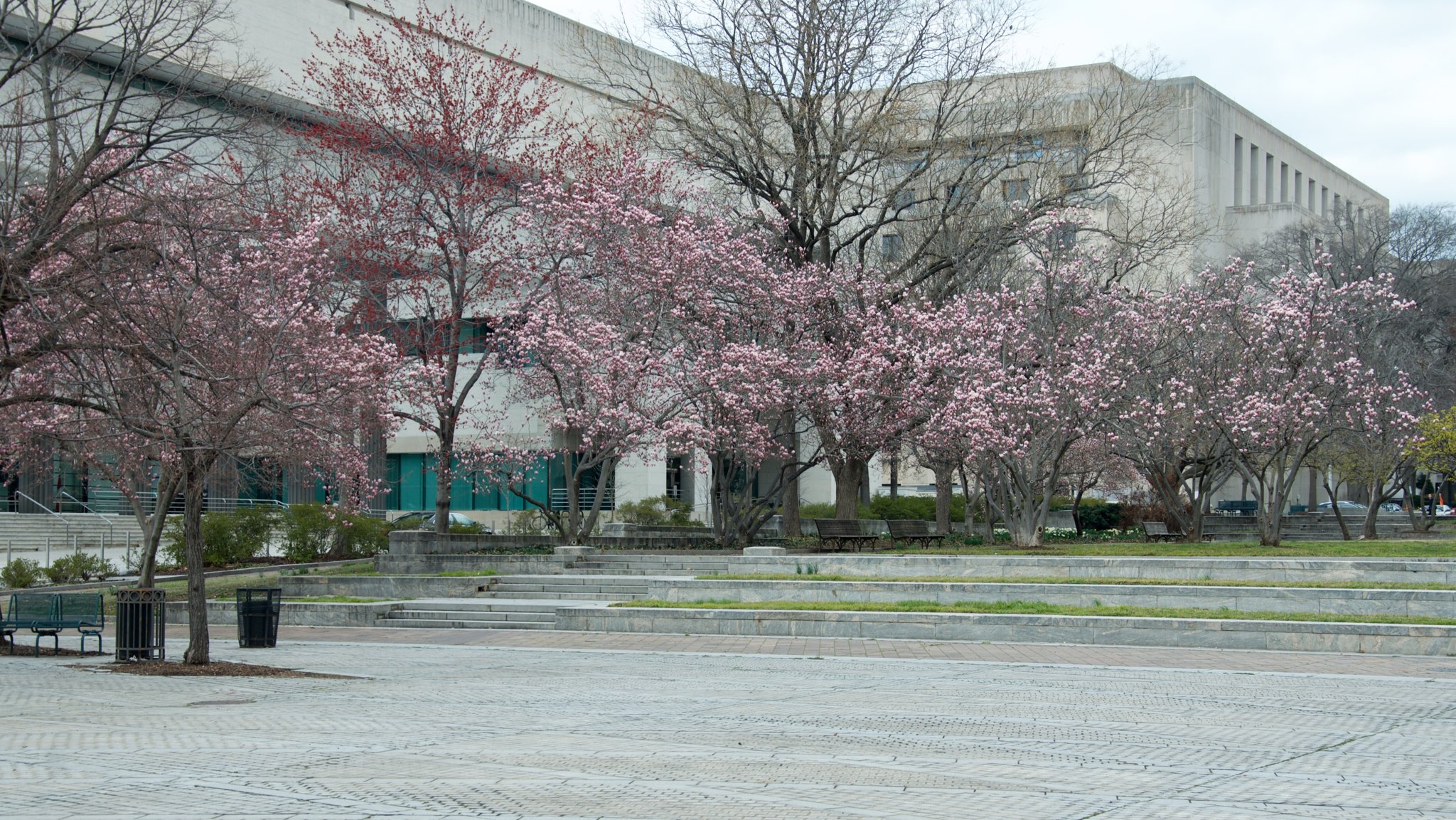 _DSC4550.jpg