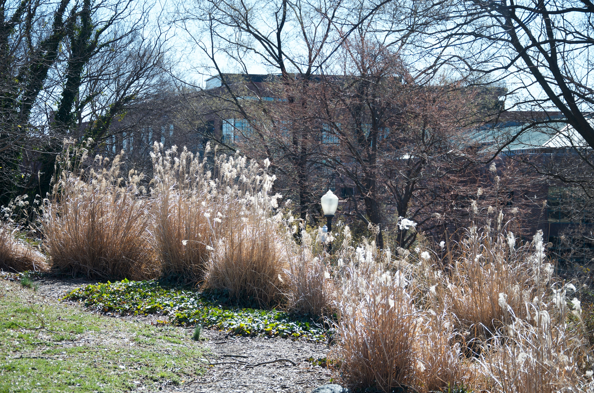 _DSC4841_resize.jpg
