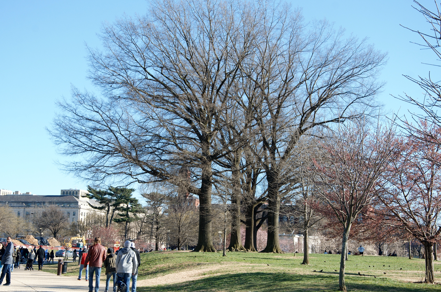 _DSC4982_resize.jpg