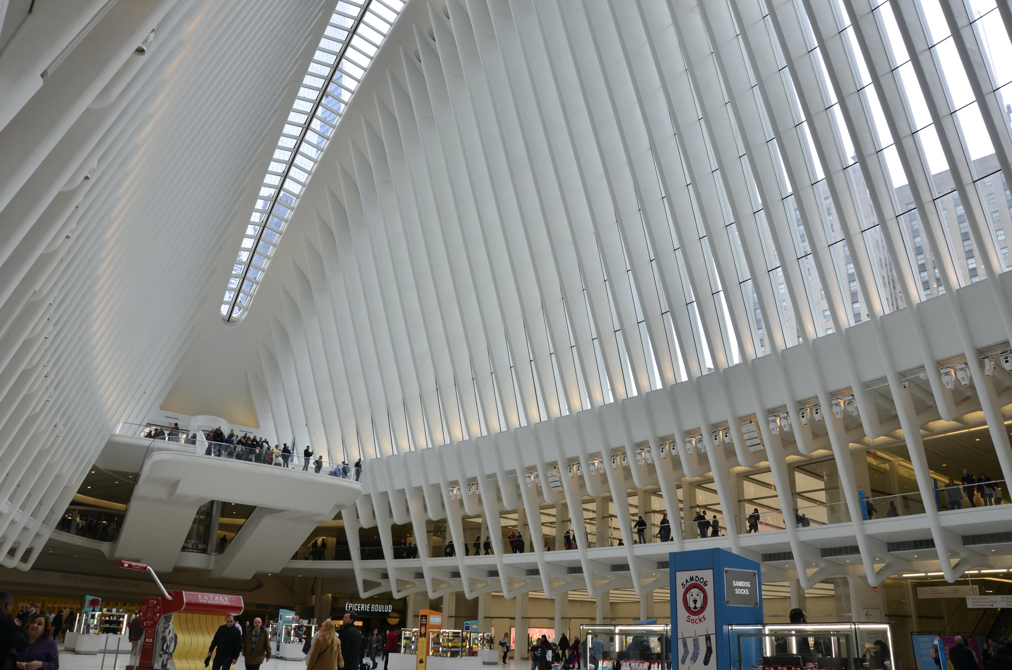 _DSC5005_resize.JPG